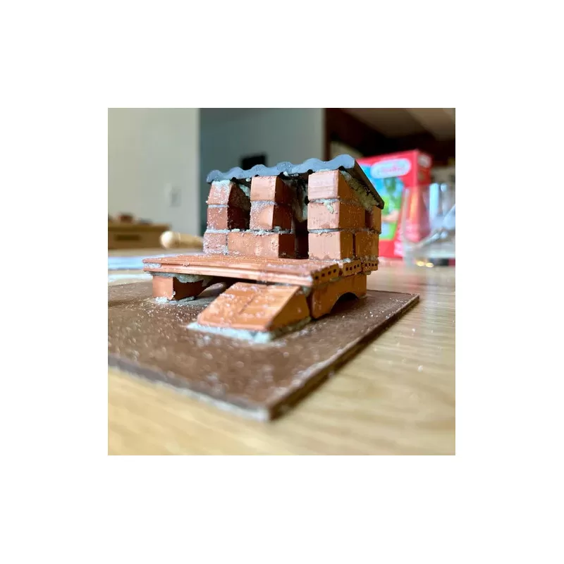 Teifoc Chicken Coop – vue 3 – Clay Bricks
