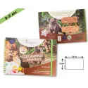 Wild Animals Workbook – 30 Discovery & Self-Correcting Sheets – Étoilium