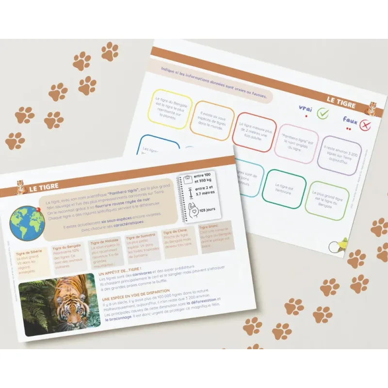 Livret Animaux Sauvages – 30 fiches découverte & autocorrectives – Étoilium