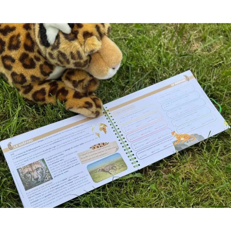 Livret Animaux Sauvages – 30 fiches découverte & autocorrectives – Étoilium