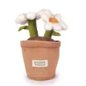 Peluche fleur Marguerite – 25 cm – Doudou et Compagnie 🌼