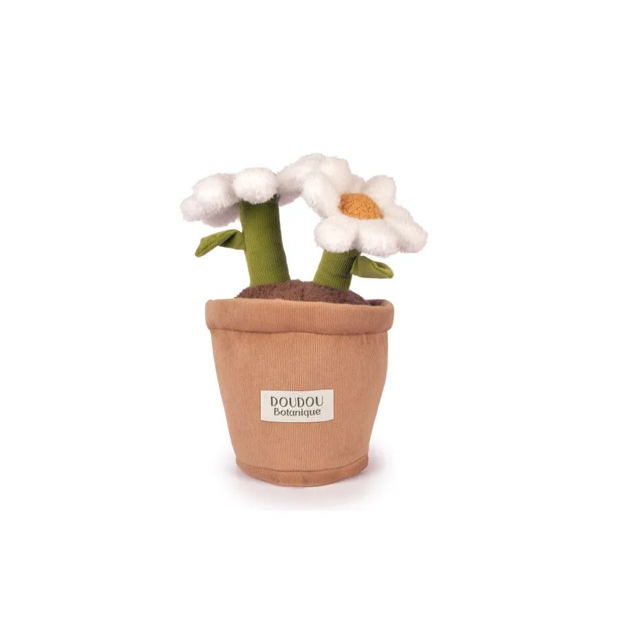 Daisy Flower Plush – 25 cm – Doudou et Compagnie 🌼