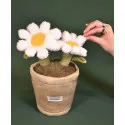 Daisy Flower Plush – 25 cm – Doudou et Compagnie 🌼