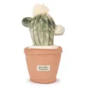 Peluche fleur Cactus vert – 25 cm – Doudou et Compagnie 🌵