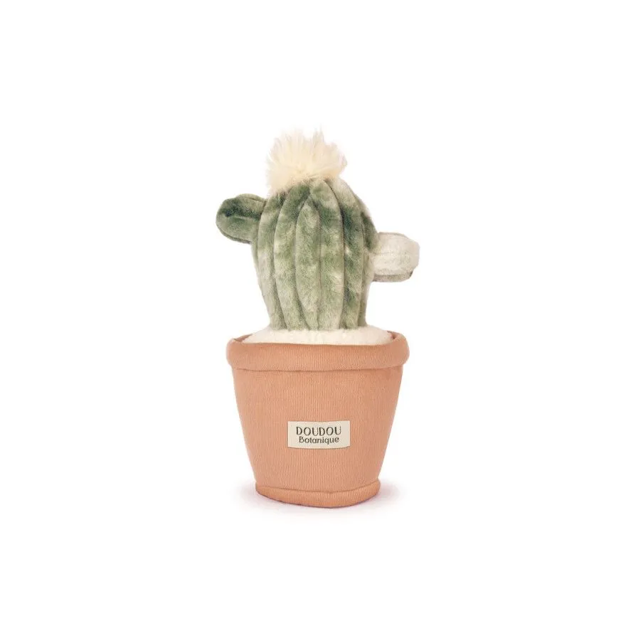 Green Cactus Flower Plush – 25 cm – Doudou et Compagnie 🌵