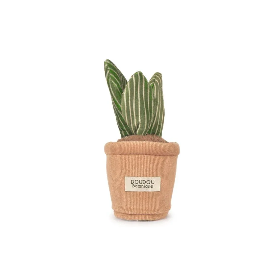 Mini Flower Plush 9 cm – Botanique Collection – Doudou et Compagnie 🌸