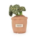 Mini Flower Plush 9 cm – Botanique Collection – Doudou et Compagnie 🌸