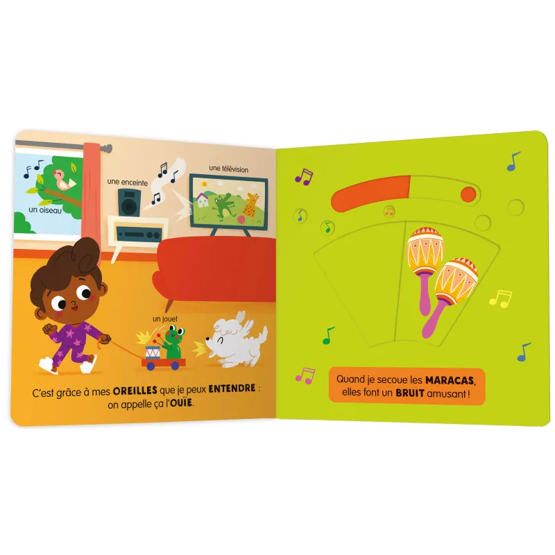 Mon anim'agier - Premiers apprentissages - Les 5 sens