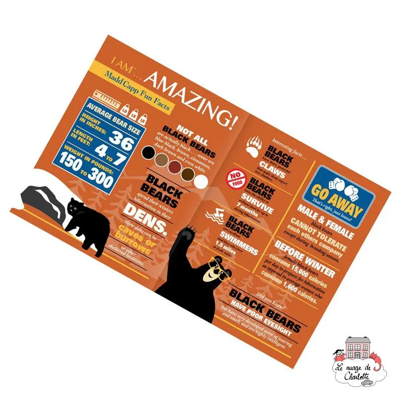 I AM - Bear - MDC-5123004 - MaDDCaPP - Puzzles for the bigger ones - Le Nuage de Charlotte