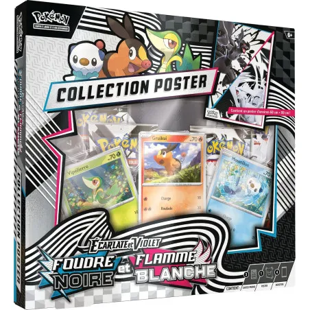 Collection Poster Pokémon JCC EV10.5 (FR)