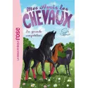 Bibliothèque Rose - Mes amis les chevaux T2 -  La grande compétition