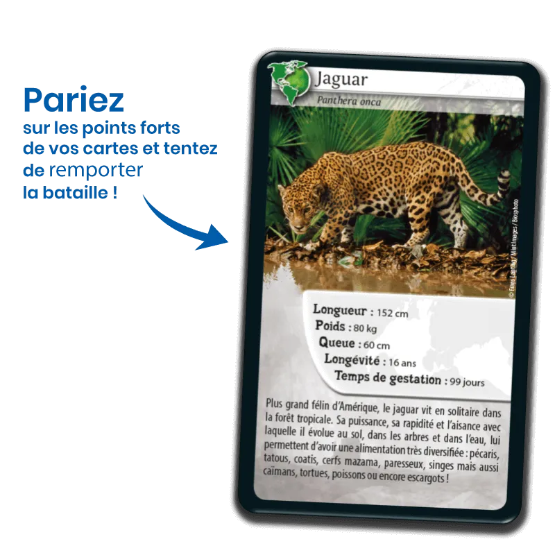 Défis Nature – Amériques – jeu éducatif Bioviva dès 7 ans