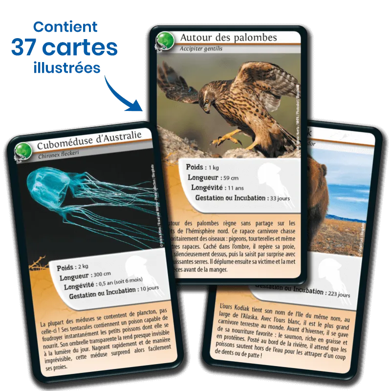 Défis Nature – Animaux redoutables – jeu éducatif Bioviva