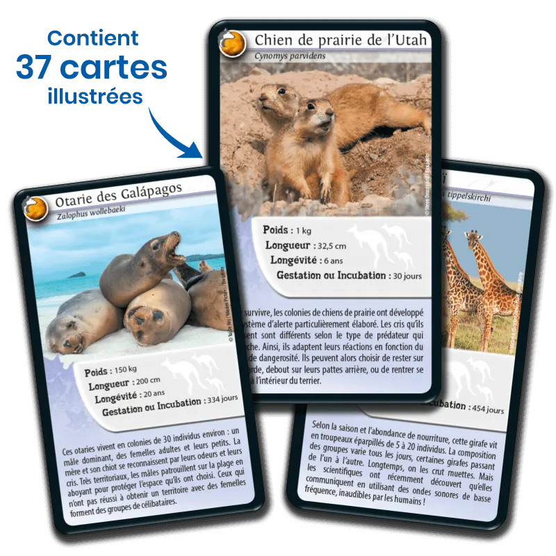 Défis Nature – Animaux inséparables – jeu éducatif Bioviva