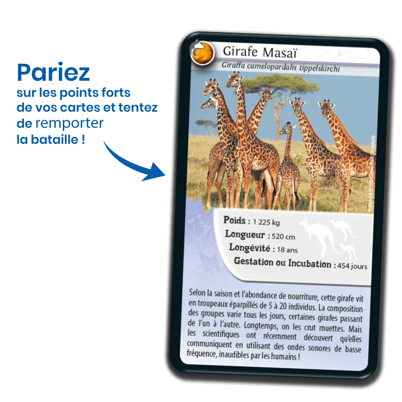 Défis Nature – Animaux inséparables – jeu éducatif Bioviva