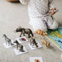 Cartes de nomenclature Mondy – Coffret vocabulaire Montessori