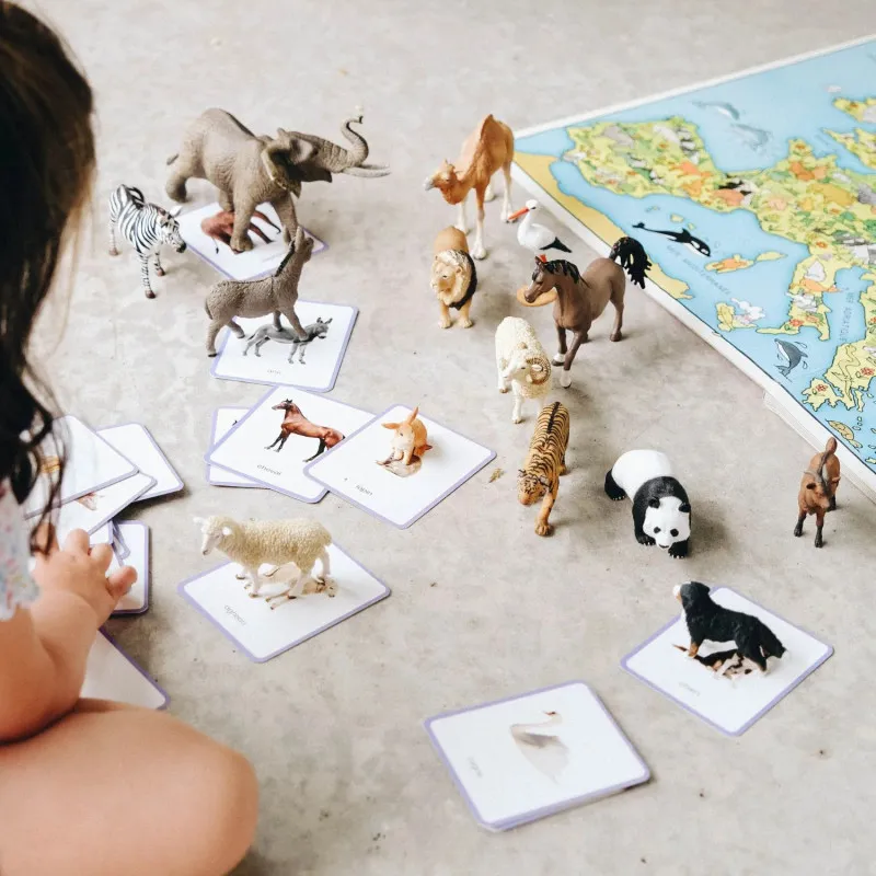 Cartes de nomenclature Mondy – Coffret vocabulaire Montessori