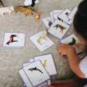 Cartes de nomenclature Mondy – Coffret vocabulaire Montessori