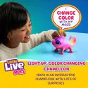 Little Live Pets Lil' Chameleon Nova interactif