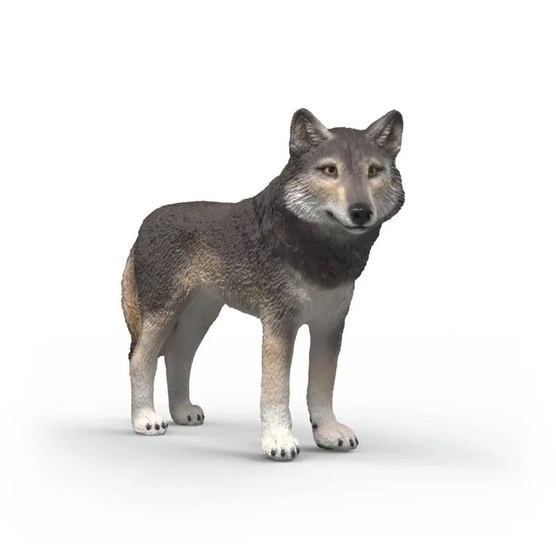 Schleich American Wolf 14991 – Wild Life Animal Figure