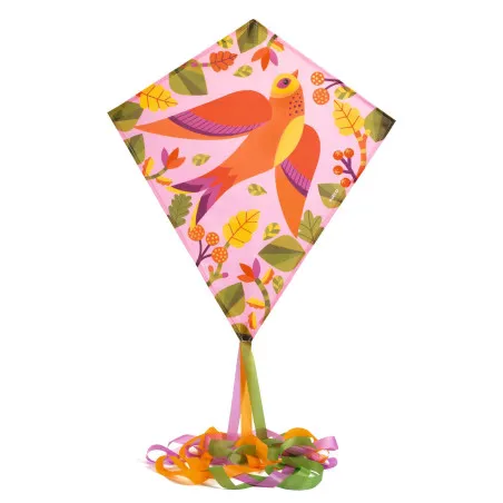 Birdy Kite DJ02140 – Colorful Kids Kite