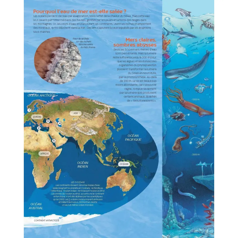 Marine World Encyclopedia - La Grande Imagerie - Fleurus (French)