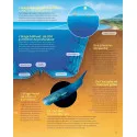 Marine World Encyclopedia - La Grande Imagerie - Fleurus (French)