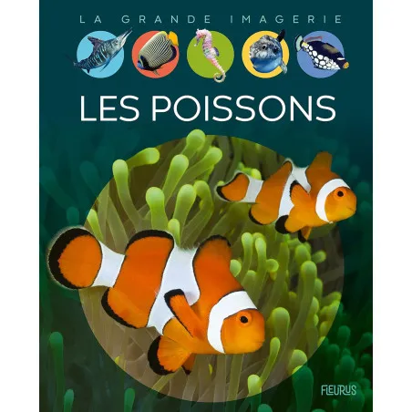 Fish - La Grande Imagerie - Fleurus (French)
