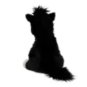Miss Melody - Cheval en peluche noir 20 cm