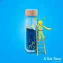 Petit Boum - Move Sensory Bottle - The Little Prince | Le Nuage de Charlotte