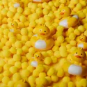 Petit Boum - Happy Bubbles Sensory Bottle - Duckies | Le Nuage de Charlotte