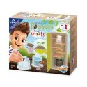 Young plants Buki germination kit | Le Nuage de Charlotte