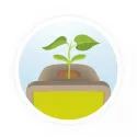 Jeunes pousses Buki, kit de germination | Le Nuage de Charlotte