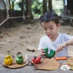Fruits et légumes Wonky - PLT-3495 - PlanToys - Epicerie - Le Nuage de Charlotte