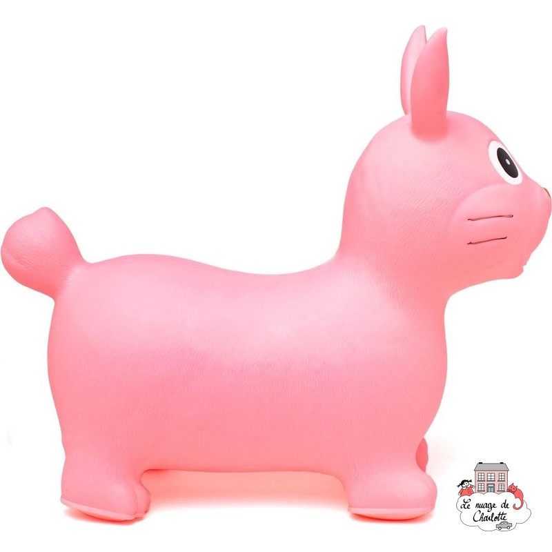 Hippy Skippy Rabbit - pink - HSY-120023 - Hippy Skippy - Hopper Balls - Le Nuage de Charlotte