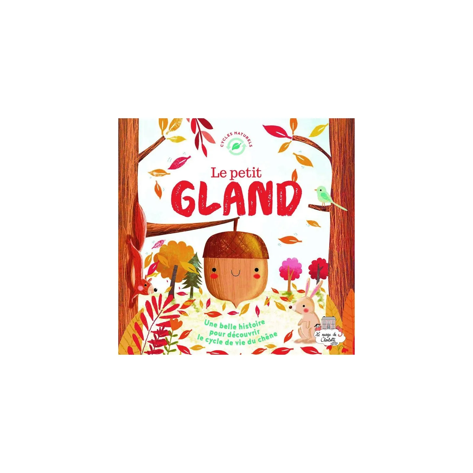 Le petit gland - 123-9782359903294 - Editions 123 Soleil - Documentaires - Le Nuage de Charlotte