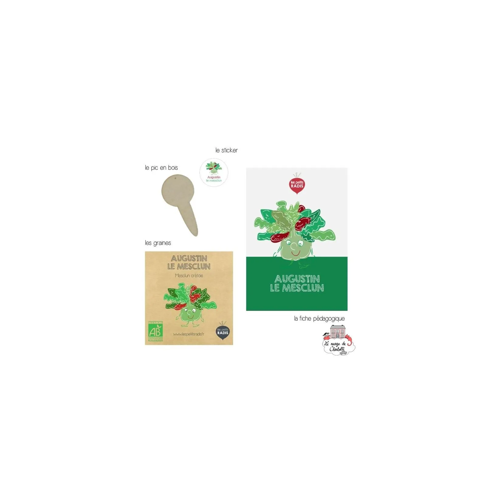 Mini kit de graines BIO d'Augustin le mesclun - LPR-G141 - Les Petits Radis - Nature et découvertes - Le Nuage de Charlotte