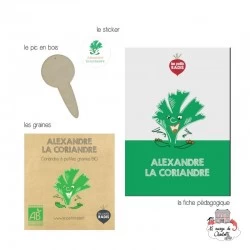 Mini organic seeds kit of Alexander the coriander - LPR-G071 - Les Petits Radis - Nature and discoveries - Le Nuage de Charlotte