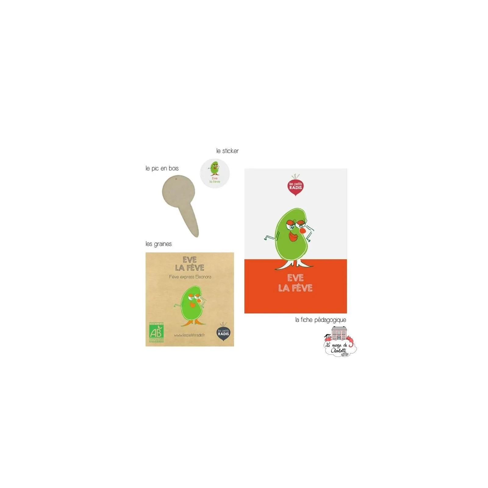 Mini kit de graines BIO d'Eve la fève - LPR-G191 - Les Petits Radis - Nature et découvertes - Le Nuage de Charlotte