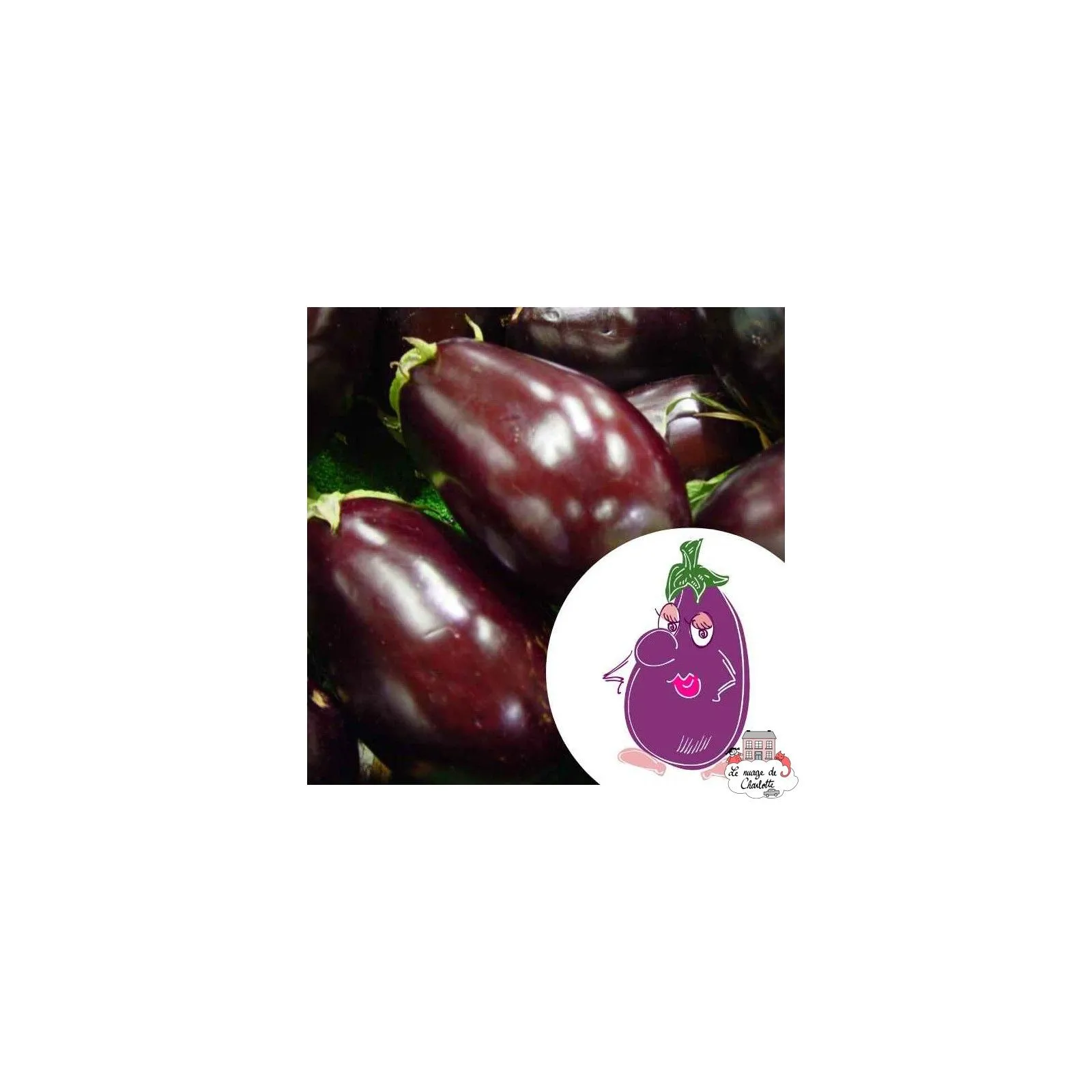 Mini organic seed kit of Ludivine aubergine - LPR-G211 - Les Petits Radis - Nature and discoveries - Le Nuage de Charlotte