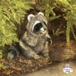 Raccoon - FLK-3075 - Folkmanis - Hand Puppets - Le Nuage de Charlotte