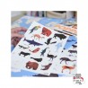 Discovery Stickers - Animals of the world - POP-DIS003 - Poppik - Stickers and gommettes - Le Nuage de Charlotte