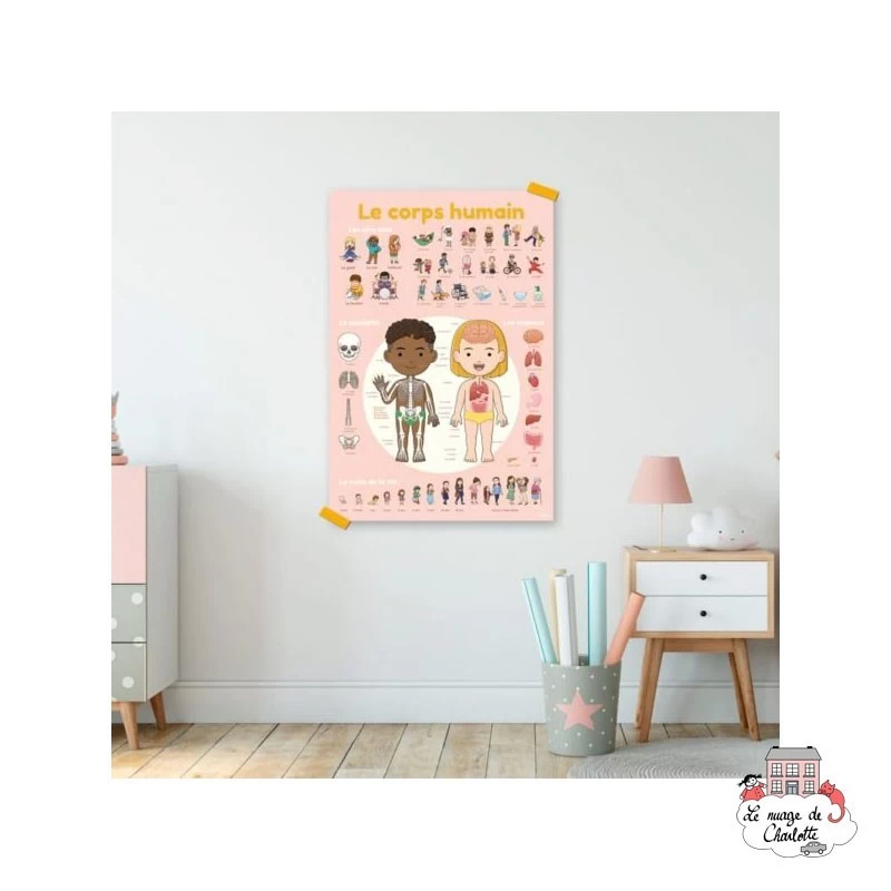 Discovery Stickers - Le corps humain - POP-DIS011 - Poppik - Stickers et gommettes - Le Nuage de Charlotte