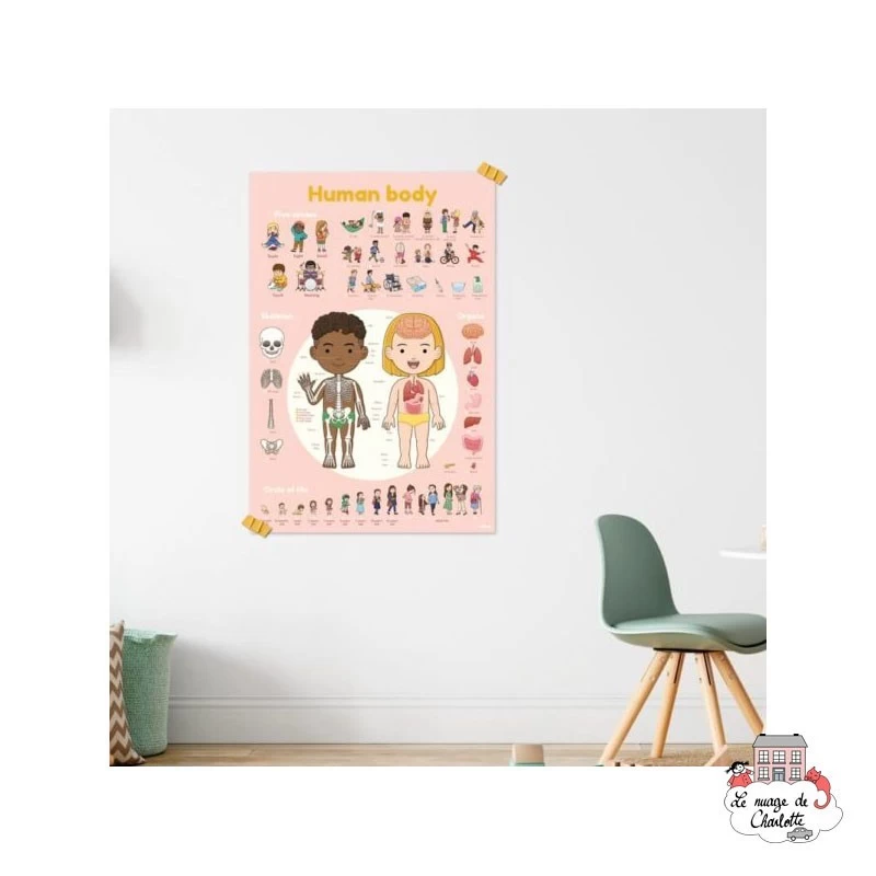 Discovery Stickers - Le corps humain - POP-DIS011 - Poppik - Stickers et gommettes - Le Nuage de Charlotte