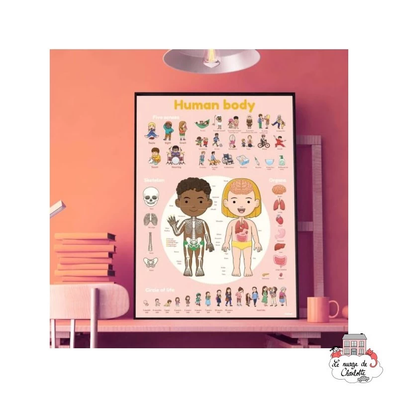 Discovery Stickers - Le corps humain - POP-DIS011 - Poppik - Stickers et gommettes - Le Nuage de Charlotte