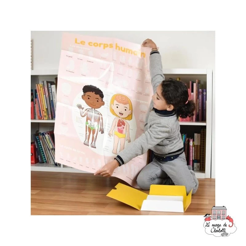 Discovery Stickers - Le corps humain - POP-DIS011 - Poppik - Stickers et gommettes - Le Nuage de Charlotte