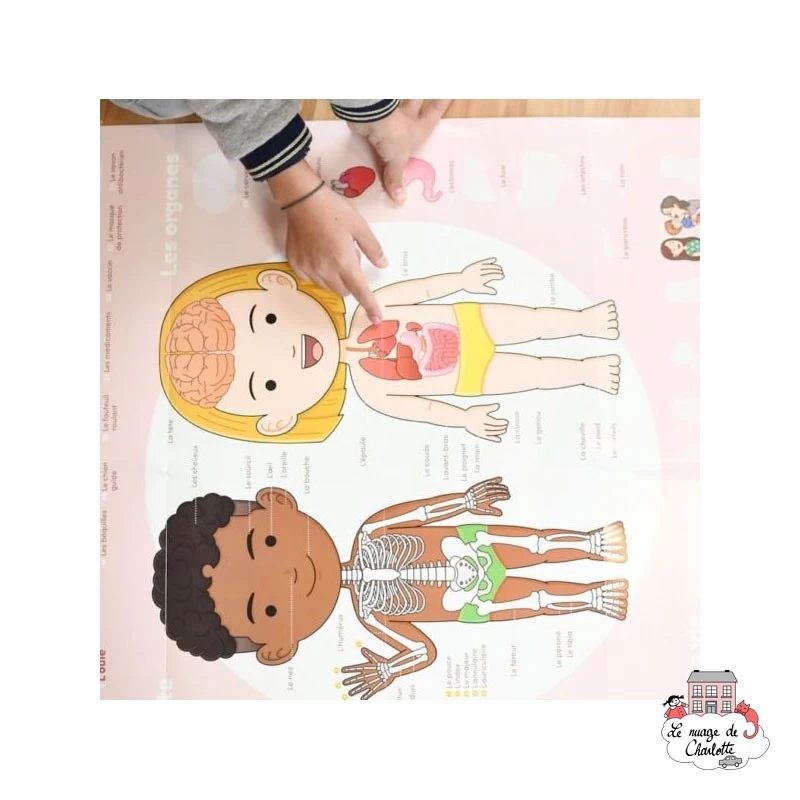 Discovery Stickers - Le corps humain - POP-DIS011 - Poppik - Stickers et gommettes - Le Nuage de Charlotte