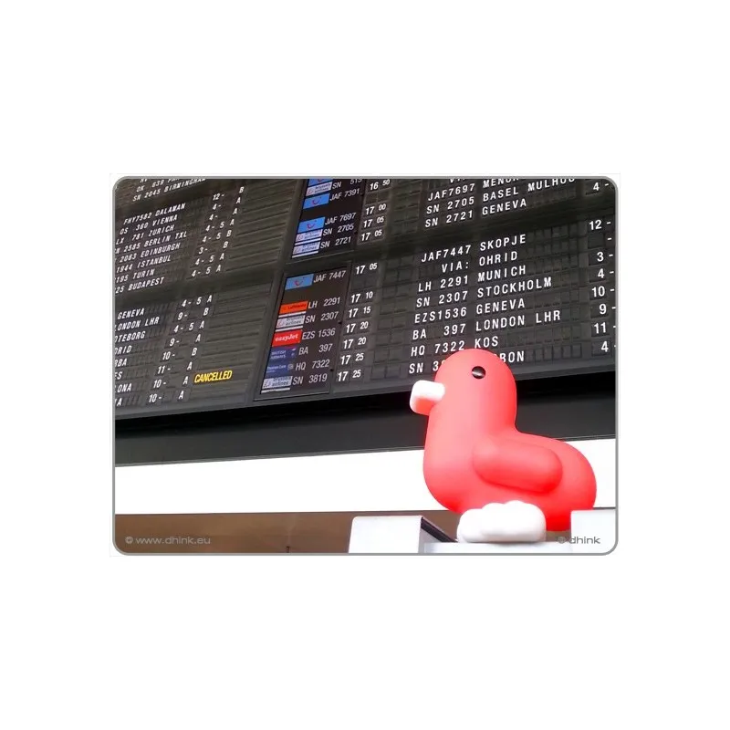 Coinsaver CANAR red - REC-CANROUGE - Dhink - Money Box - Le Nuage de Charlotte