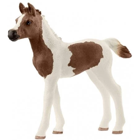 Araber Pinto foal - SCH-13839-🔴 - Schleich - Figures and accessories - Le Nuage de Charlotte