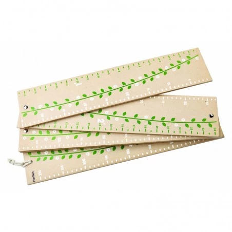 Family Growth Chart - PLT-8610 - PlanToys - Decorations - Le Nuage de Charlotte